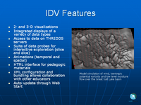 IDV Features